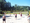 Eine Gruppe von Männern spielt an einem sonnigen Tag Beachvolleyball auf einem Sandplatz. Ein gelbes Netz teilt das Spielfeld. Im Hintergrund grenzen grüne Bäume den Platz ab.