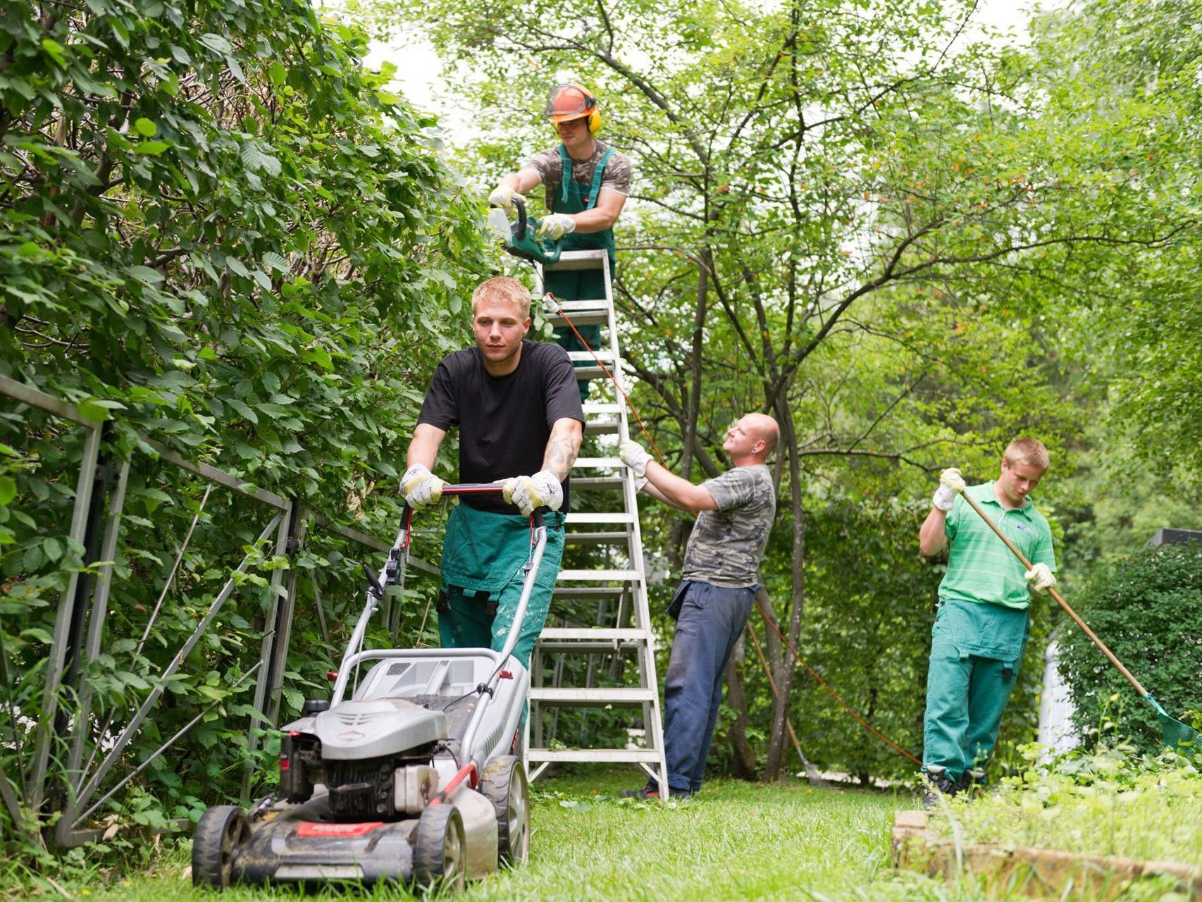 Männer bei der Gartenarbeit: Hecke schneiden und Rasen mähen