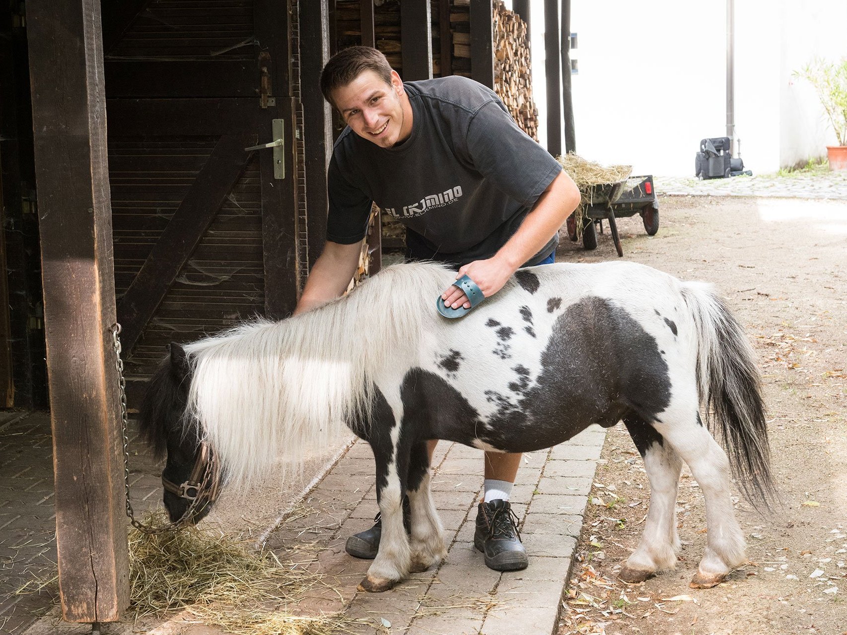 Am Stall: ein Mann striegelt ein Pony